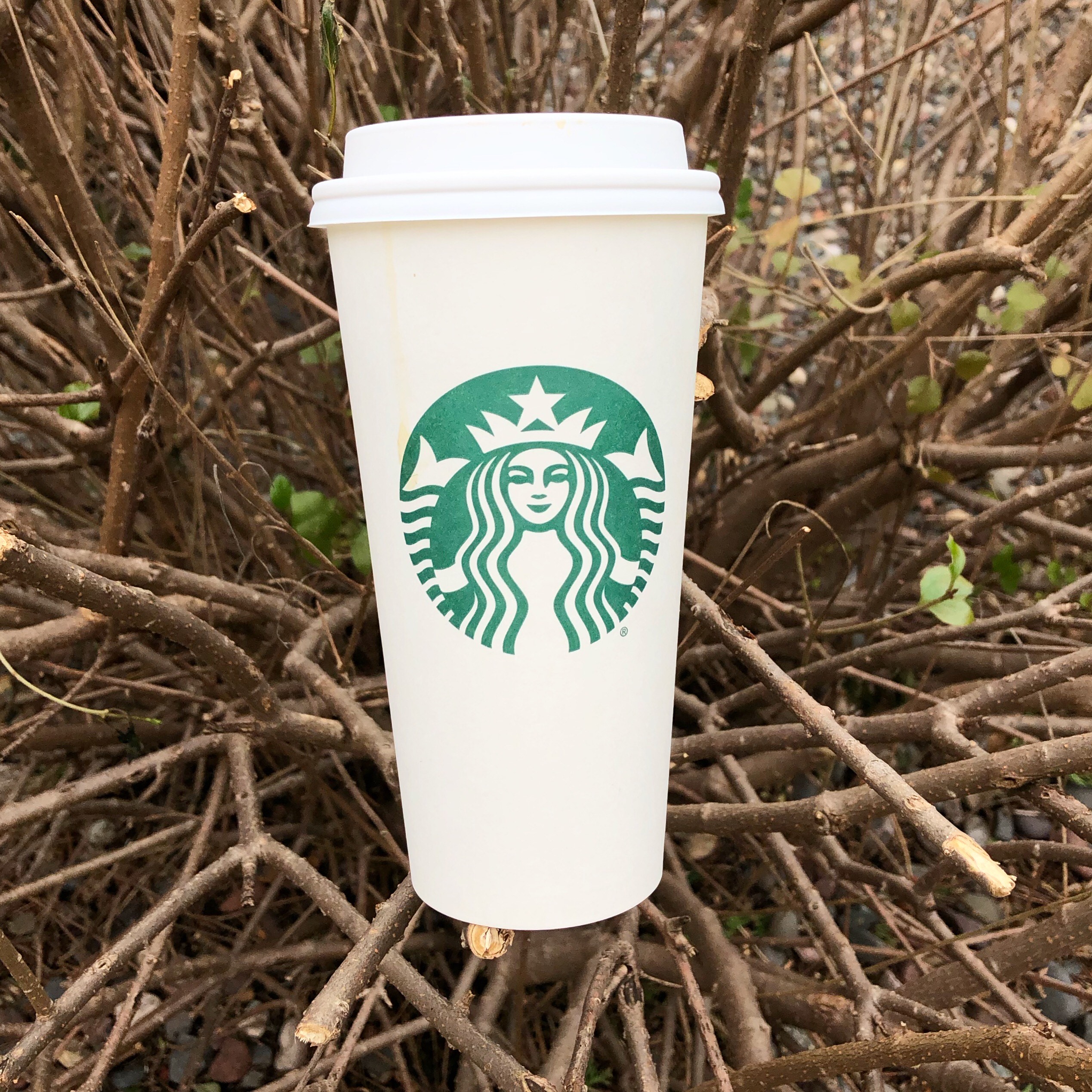 C25C1C66-7847-45AC-8328-361AE5A9592C